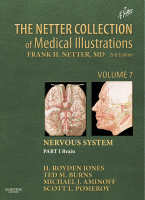 Cover of Netter Collection of Medical Illustrations: Brain